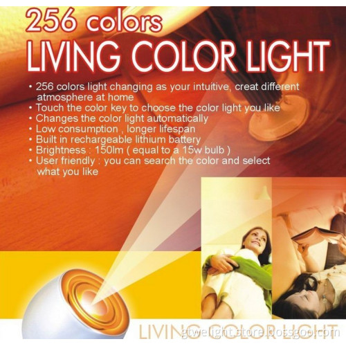 Living Colors LED Accent Light Clear